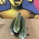 Continental Cucumber (each)
