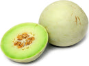 Honeydew Melon