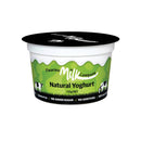 Natural Yoghurt