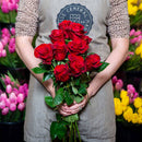 Red Roses (long stem)