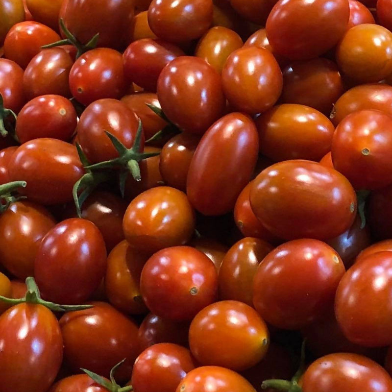Tomato Mini Roma Mini Roma tomatoes