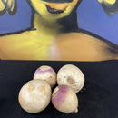 Turnips ($5.50 p/kg)