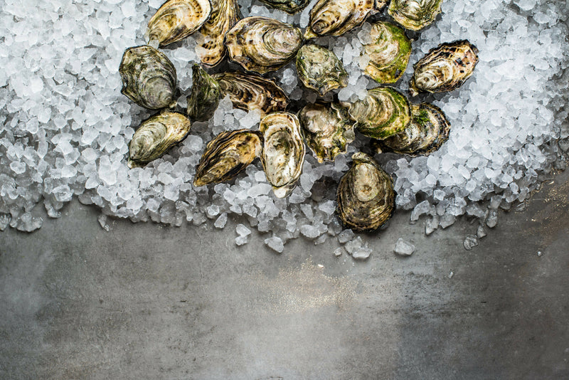 Live - SA Pacific Oysters - Unshucked - Dozen