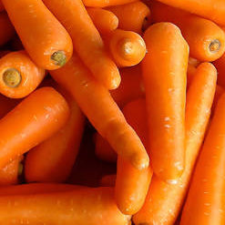 Carrot (2.00p/bag)