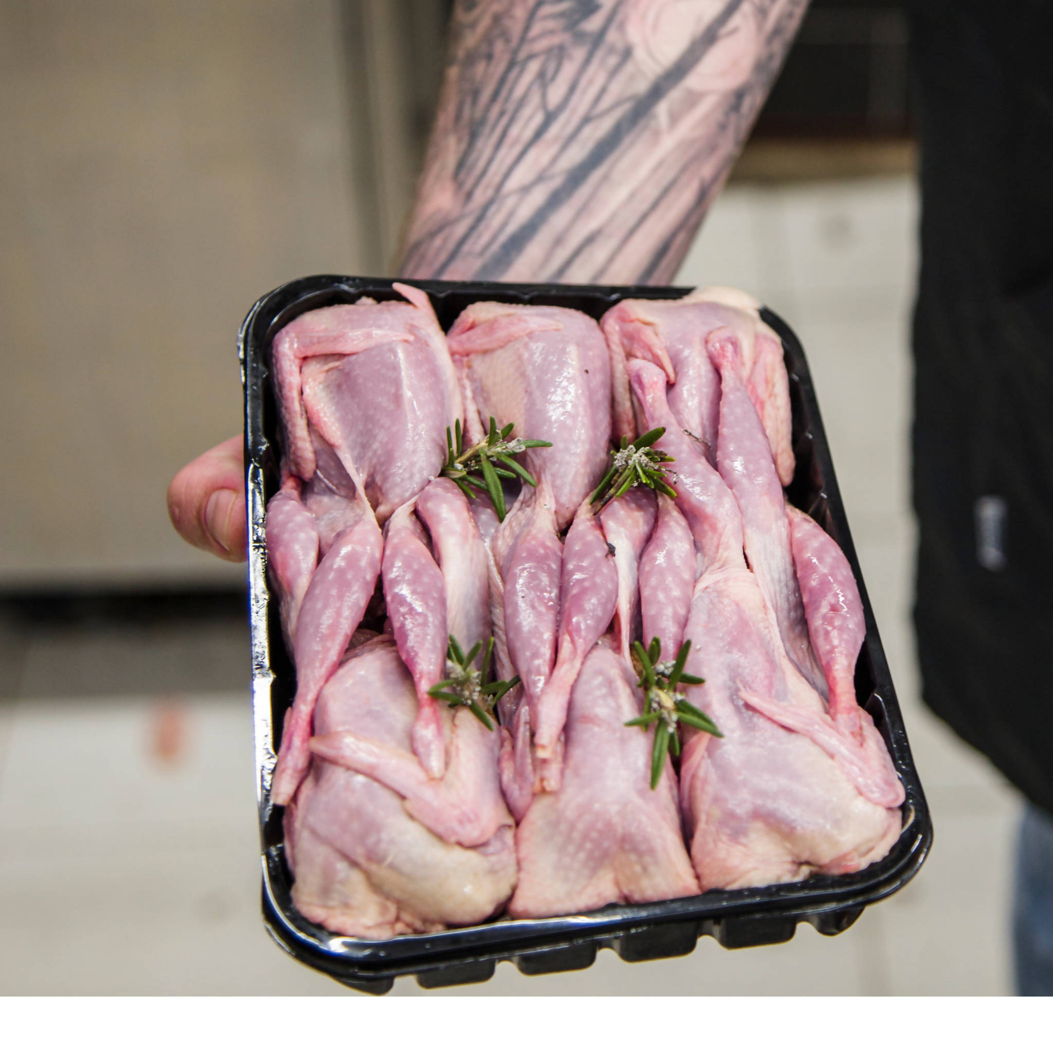 Quail - Large (6 per pack)