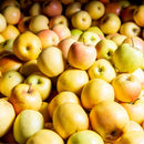 Golden Delicious Apples