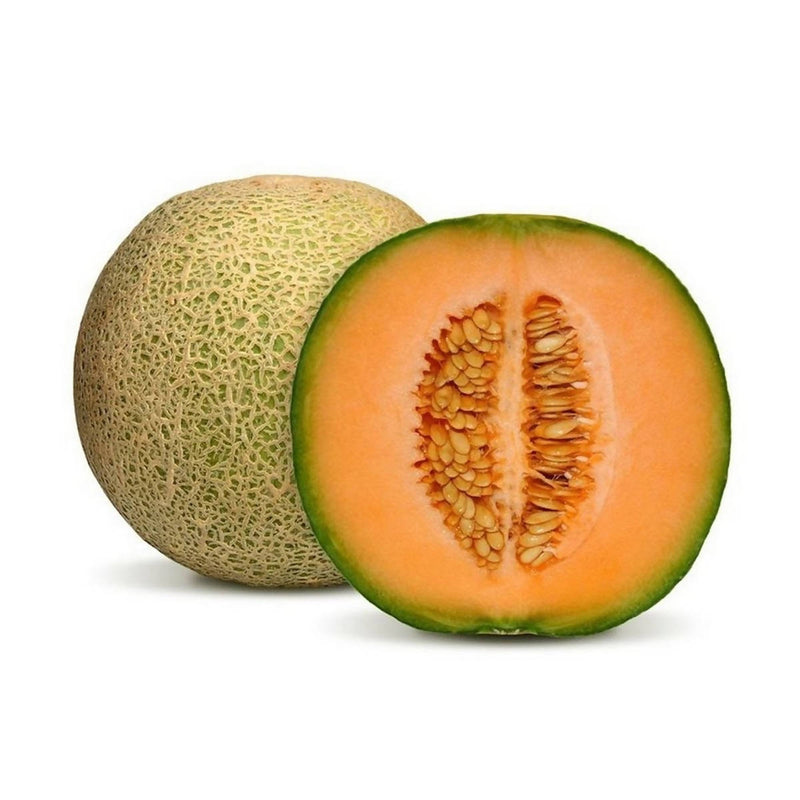 Rock Melon Sweet and Juicy