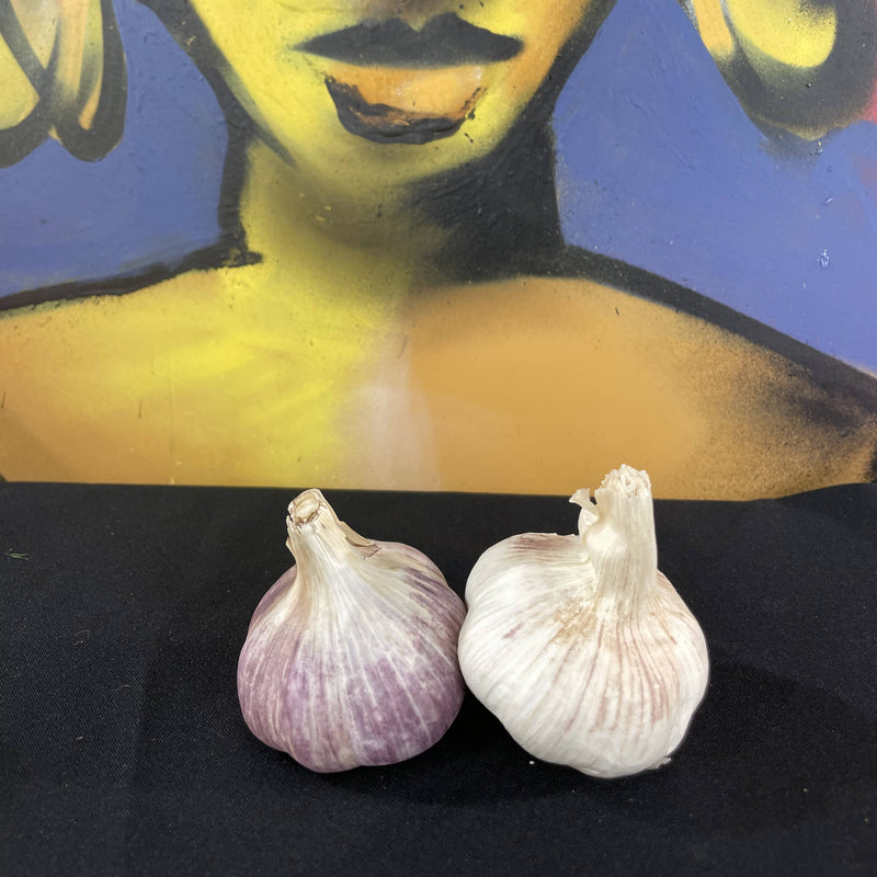 Mexican Garlic (each)