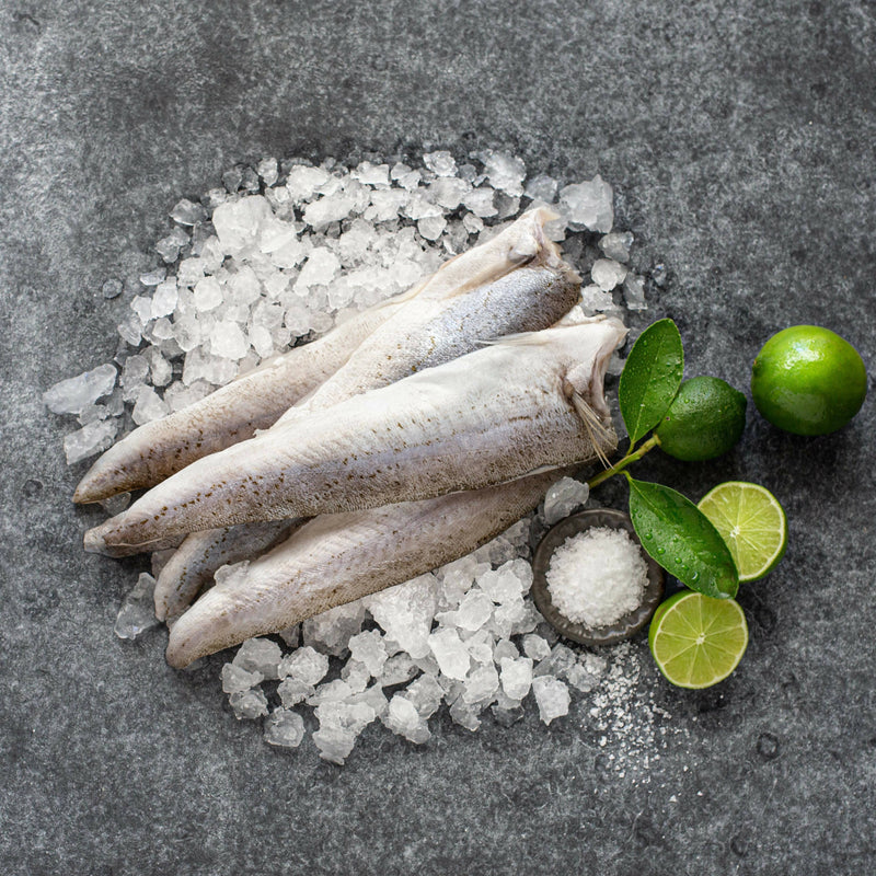 King George Whiting Fillets (500g)