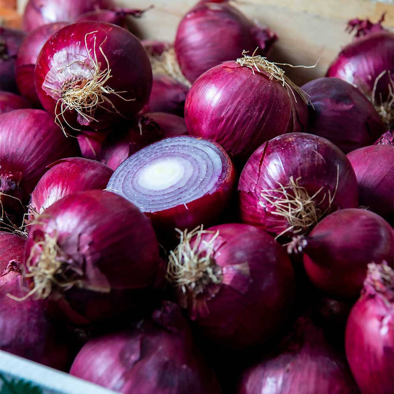 Red Onion 4.80/kg)