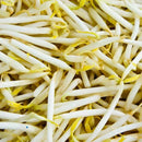 Bean Sprouts(2.50p/bag)