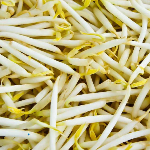 Bean Sprouts(1.50p/bag)