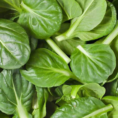 Baby Spinach (3.99p/bag/130gm)