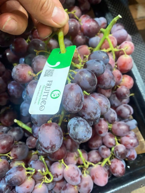 RED seedless grapes (CELEBRATION)