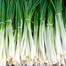 Spring Onions