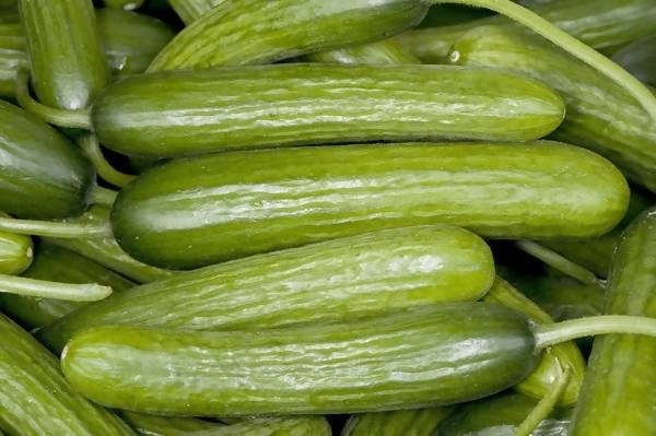 Lebanese Cucumber ($9.99 p/kg)
