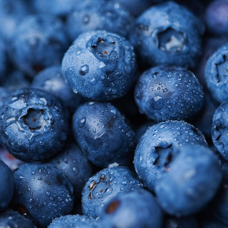 Blueberries (125G) punnets