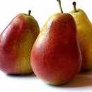 corella pears (per Kg)