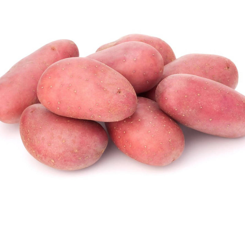 red potato premium LOCAL