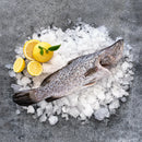 Whole Baby Barramundi