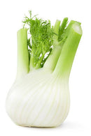 Fennel ($2.50each)