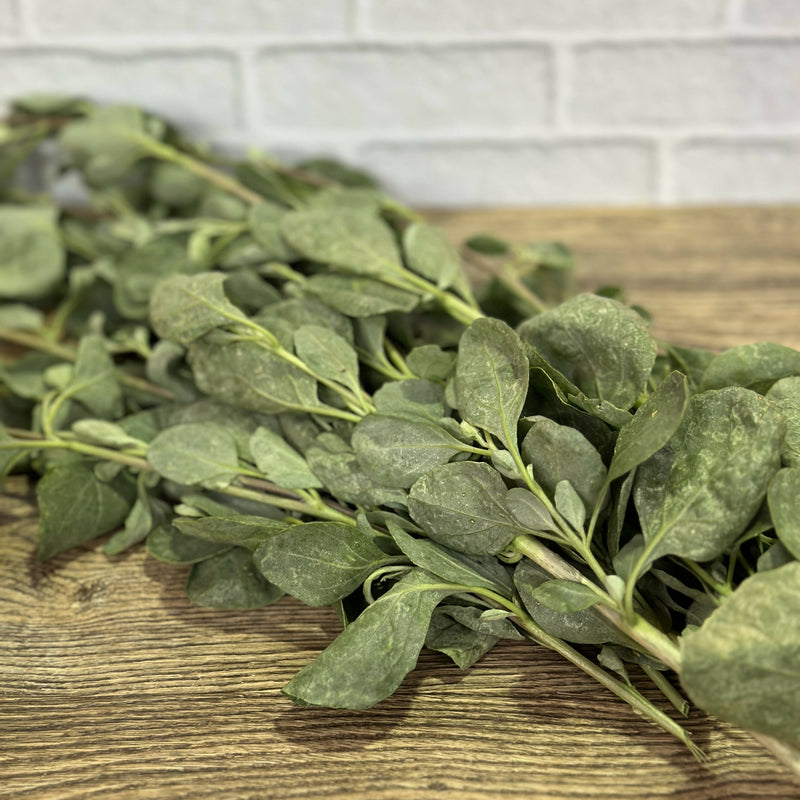 Saltbush Fresh - 100g