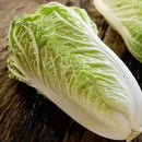 Chinese Cabbage