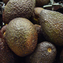 Hass Avocados (5 for $5.00)