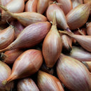 Shallot(9.99 p/kg)